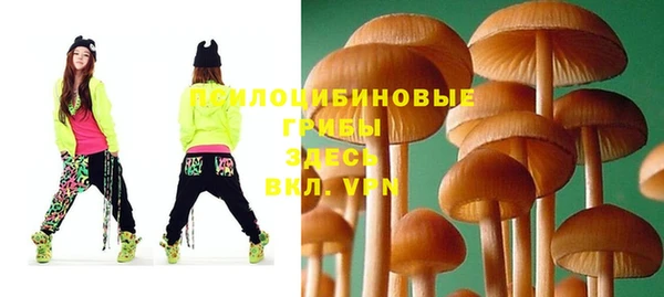 ешки Алексеевка