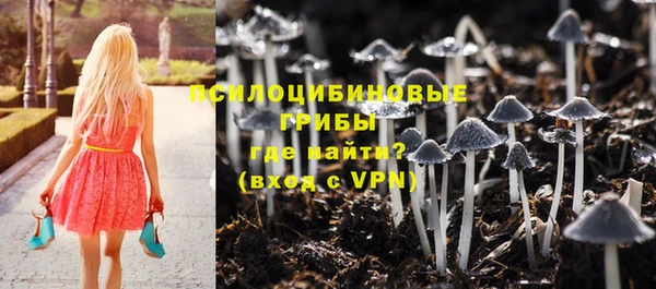 твердый Алексин