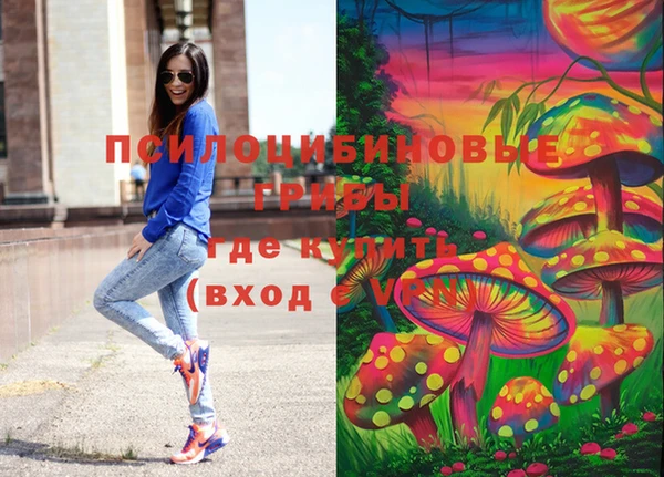 ешки Алексеевка