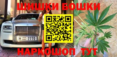 прущие грибы Дмитров