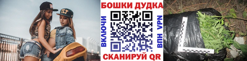 закладки  Апатиты  блэк спрут зеркало  Канабис ГИДРОПОН 